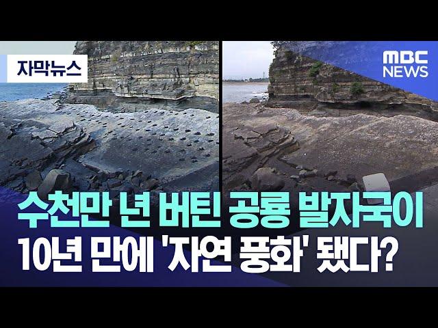 [자막뉴스] 수천만 년 버틴 공룡 발자국이 10년 만에 '자연 풍화'됐다고? (여수MBC뉴스)