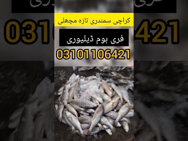 karachi fish market | fresh machhli | fish online