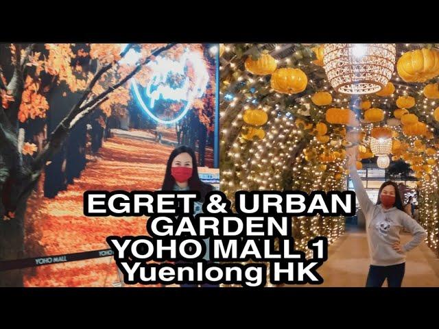 Egret and Urban Garden YOHO1 Mall Yuenlong Hongkong || Jeanelyn Tan