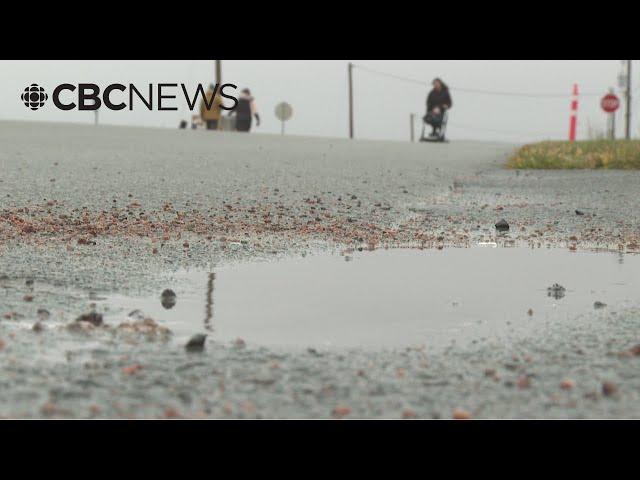 How Prince Edward Islanders are coping with a wet, dreary November