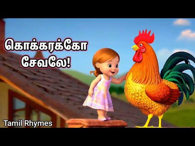 கொக்கரக்கோ சேவலே | Tamil rhymes #tamilrhymes #newtamilrhymes