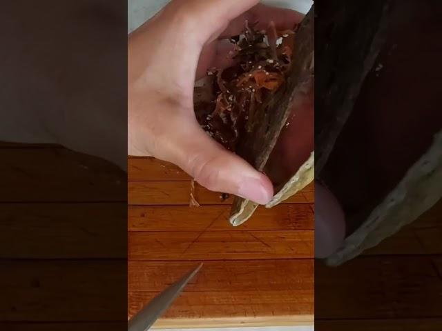 Иду на Море собирать ..