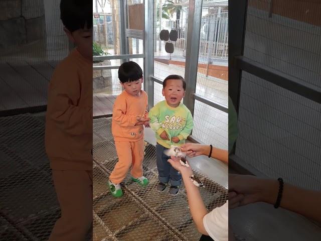 이루와 사촌 형
