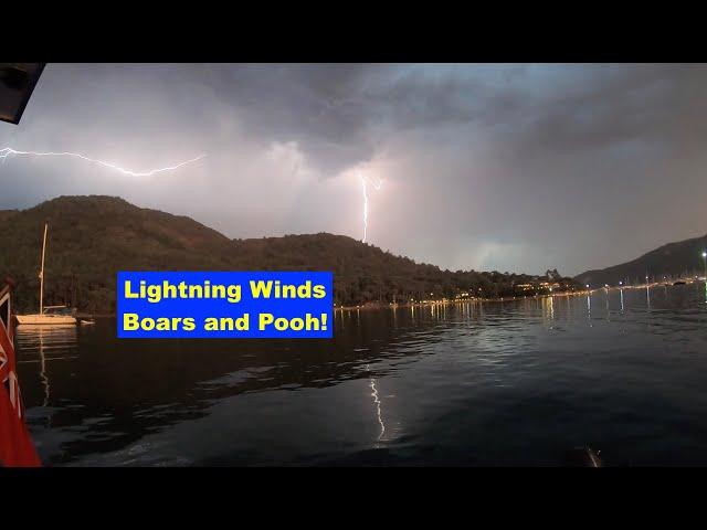 Lightning, Wind, Boars and Pooh. (Just a sprinkling of wind).
