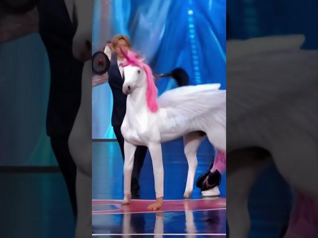 America's Got Talent Unicorn / Horse  Magic | Duo Schumacher #AGT #americagottalent #magic