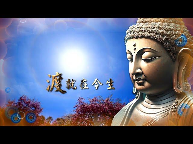 2023《渡 就在今生》MV