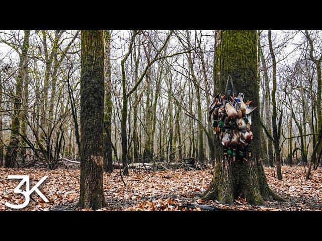 Arkansas Public Land  |  Cloudy Day On The Oxbow