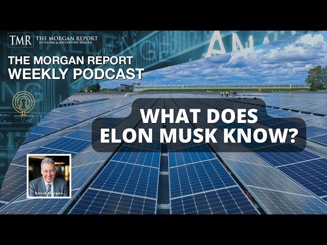 What Does Elon Musk Know?