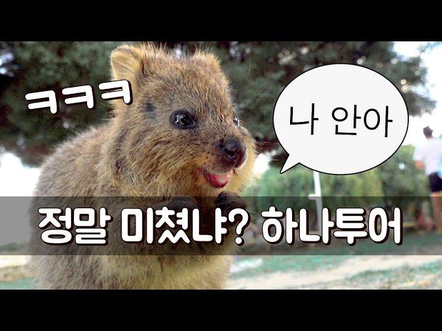 무엇을 기대하든 그 이상의 병맛 - 하나투어