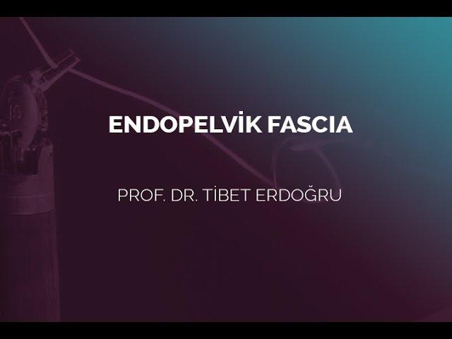 Endopelvik Fascia