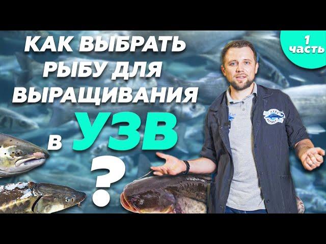 Как ПРАВИЛЬНО выбрать РЫБУ ДЛЯ ВЫРАЩИВАНИЯ в УЗВ? Часть 1 | Бизнес с нуля