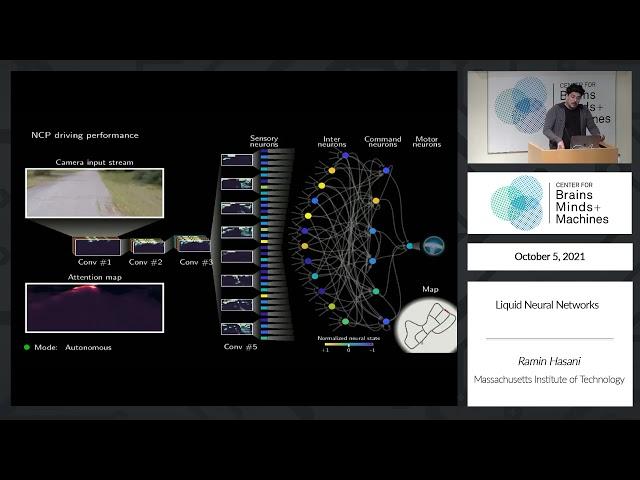 Liquid Neural Networks