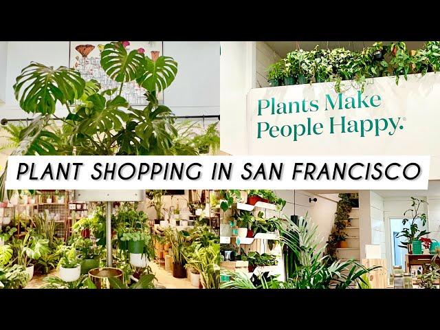 PLANT SHOP CRAWL in SAN FRANCISCO, CA 🪴Petite Monstera, The Sill, Trader Joe’s houseplants