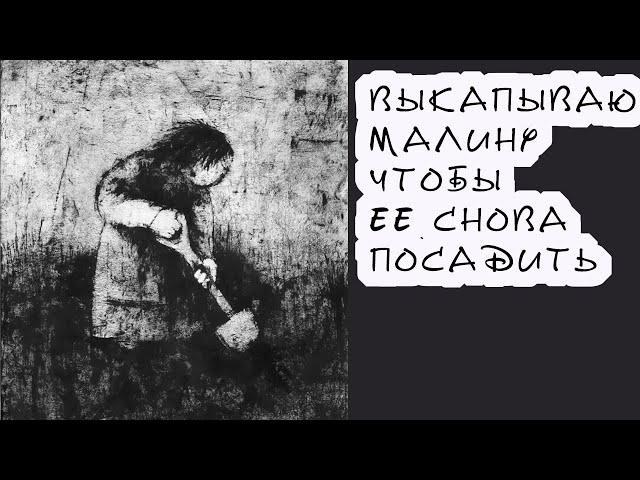 Как обновить посадки малины