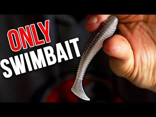 The ONLY way to Fish a SWIMBAIT