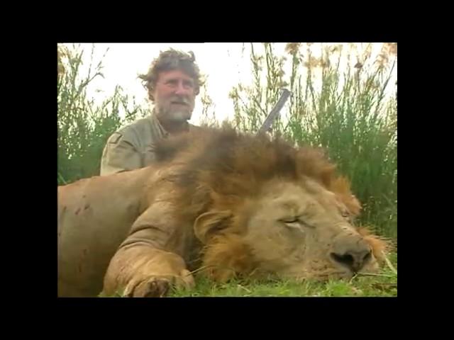 Охота на льва,Lion hunting