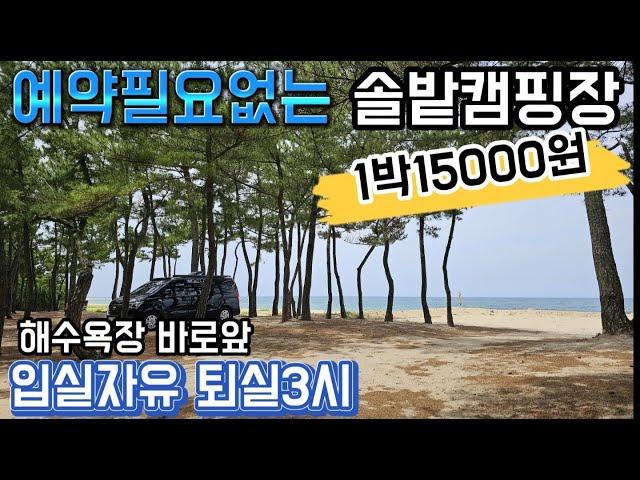 가성비 좋은ㅣ예약없는 캠핑장ㅣ 1박 15000원ㅣ애견동반ㅣ입실자유 퇴실3시ㅣ바다앞 솔밭캠핑장ㅣ카라반,캠핑카 주차장ㅣ차박하기좋은곳ㅣ해수욕장캠핑장ㅣ임과함께캠핑