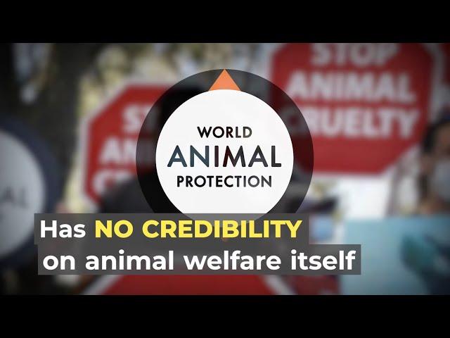 World Animal Protection