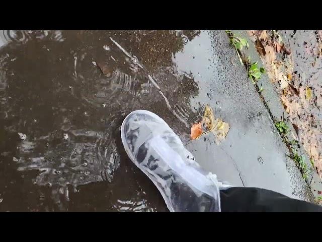 Snipes Sneaker Cover transparent (Rain Shoes)