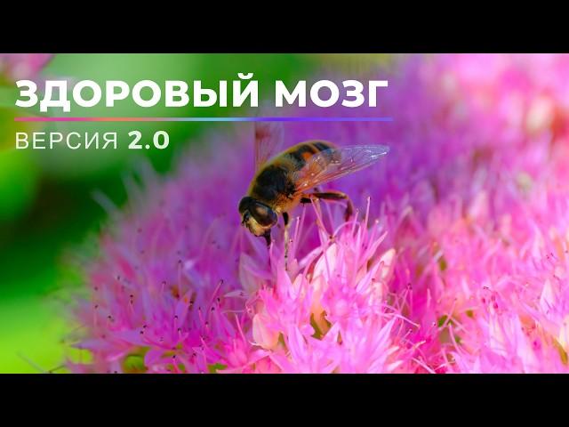 Здоровый Мозг & Идеальная Память. ВЕРСИЯ 2.0 [NEW]. Новый саблиминал. Скрытые аффирмации.