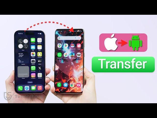 [Official]How to Transfer Data from iPhone to Android for Free 2024