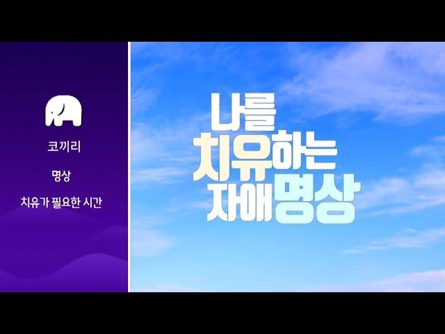 혜민스님의 코끼리 마음치유명상_나를 치유하는 자애 명상