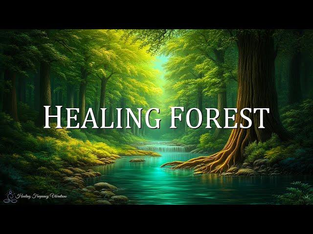 Healing Forest Ambience | 528Hz + 174Hz + 639Hz - Miracle Tone | Emotional Healing & Heart Renewa...