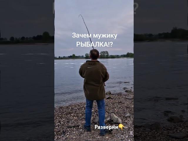 Зачем мужику рыбалка!?️ Читай комментарий