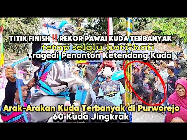 Waow‼️Pawai Kuda Jingkrak Terbanyak di Purworejo 60 kuda||MI Imam Puro Lubangindangan Butuh