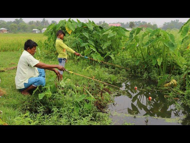 Fishing ️||Big fish are being caught in village canal with hook and small fish bait ||Hook fishing