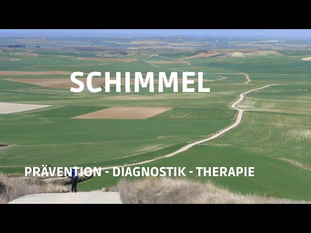 Schimmelpilze - Diagnostik und Therapie