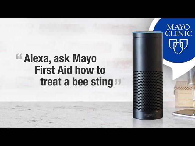 First Aid for a Bee Sting