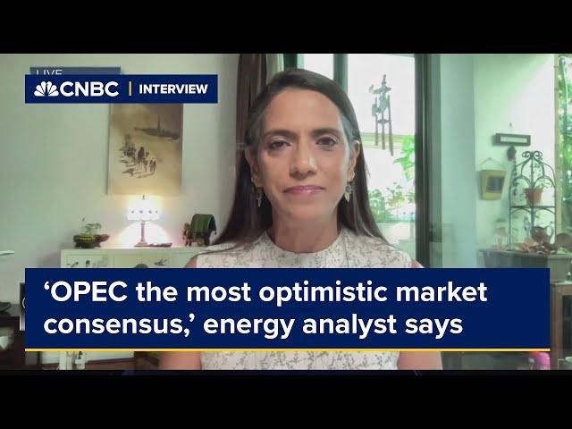 ‘OPEC the most optimistic market consensus,’ energy analyst says