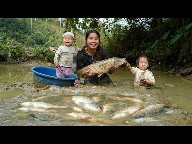 Work with your children to harvest giant fish ponds and sell them at the market