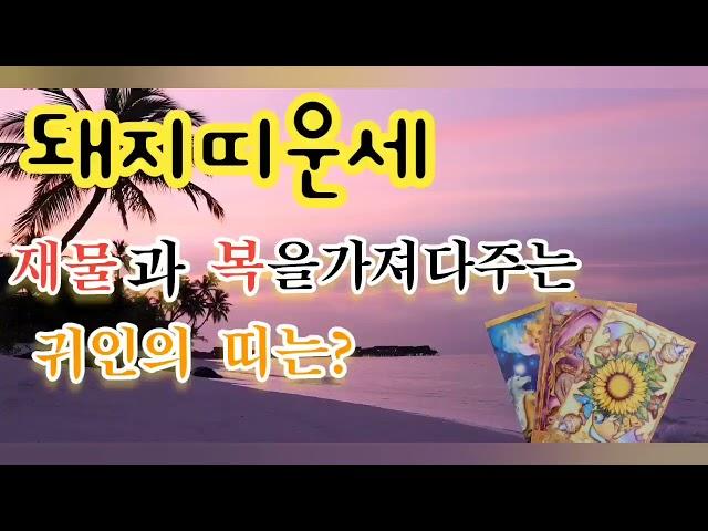 신비타로song/ 돼지띠운세/돼지띠귀인