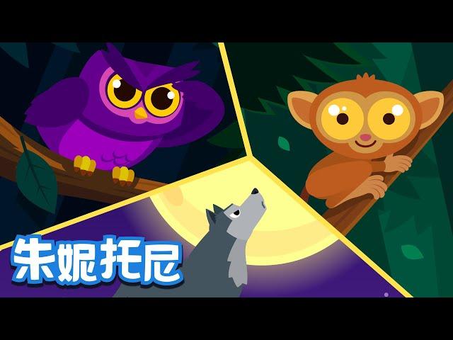 夜行動物 | 哪些動物喜歡在黑夜活動呢 | 貓頭鷹 | 狼 | 動物兒歌 | Animal Song in Chinese | 兒歌童謠 | 卡通動畫 | 朱妮托尼童話故事