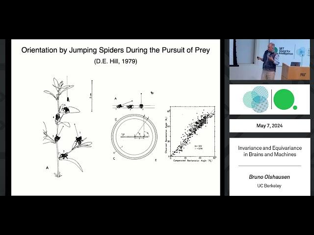 Invariance and equivariance in brains and machines