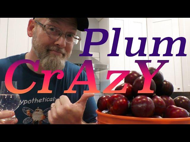 How to Make Croatian PLUM BRANDY/RAKIA/SLIVOVITZ!