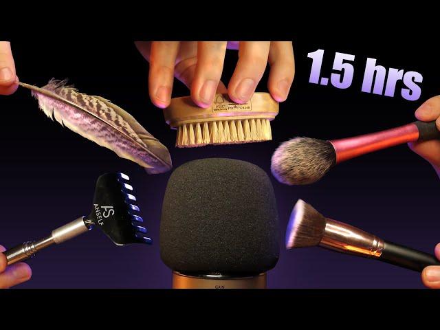 ASMR ULTIMATE MIC BRUSHING - Extra Tingly Brushing & Scratching   [No Talking]