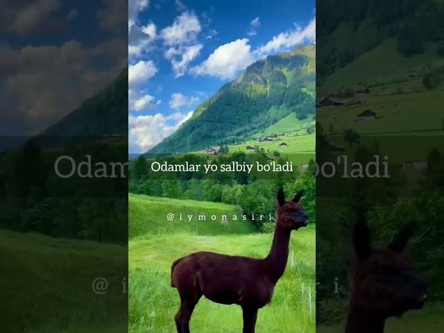 Odamlarning turlari! #shorts #abdullohdomla #video #maruzalar #iymon asiri #din #jannat #jannatiylar