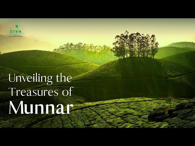 The Ultimate Munnar Experience | Kerala Tourism #DreamDestinations