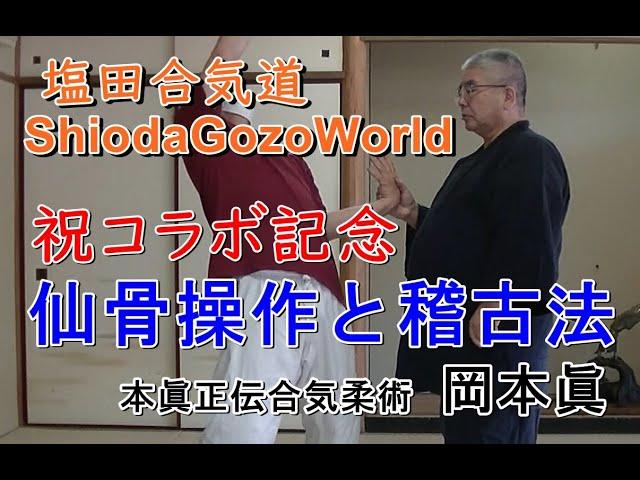 合気柔術チャンネル　技術・理合#046 　仙骨操作　縦の動きと稽古法　aiki 　makoto okamoto