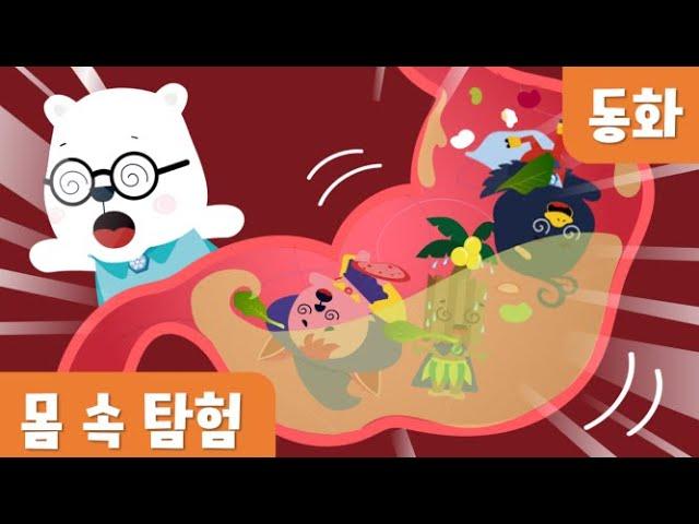 몸속탐험｜5월누리과정 (human body exploration for kids)