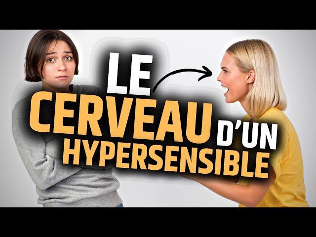 Comment Fonctionne le Cerveau d’un Hypersensible