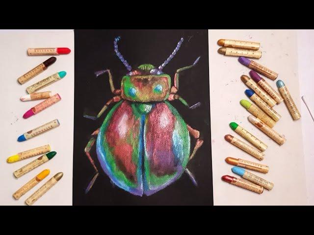 Let's draw a beetle using Sennelier oil pastels
