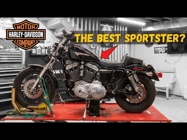 Harley Davidson Sportster 1200S Walk around and Overview