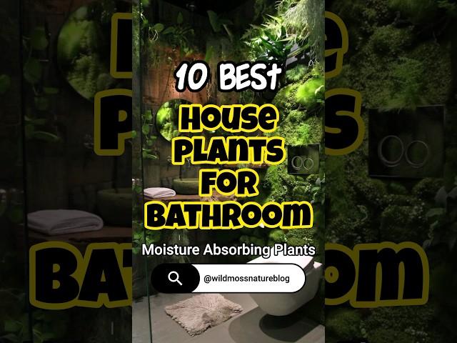 Best indoor plants for bathroom / moisture absorbing plants #shorts #houseplants #homedecor