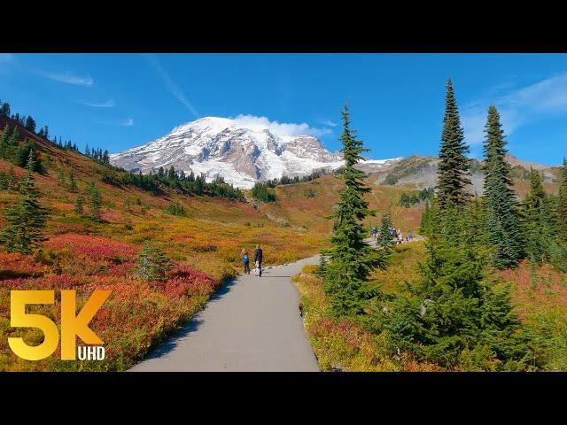 2 Hours Autumn Hike along Skyline Trail, Mt. Rainier - 5,5 mile Hard Trail near Paradise Inn