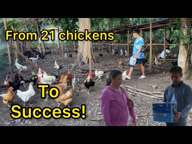 FROM 21 CHICKENS TO SUCCESSFUL CHICKEN FARMING!