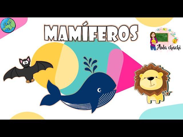 Mamíferos - Animales Vertebrados | Aula chachi - Vídeos educativos para niños
